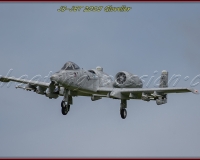 1GLOVELIER 0539